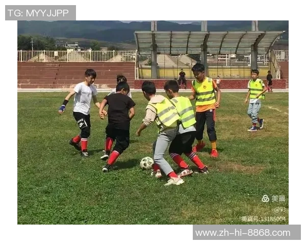 猫咪追逐足球的奇妙冒险与欢乐瞬间分享 猫咪追逐足球的奇妙冒险与欢乐瞬间分享